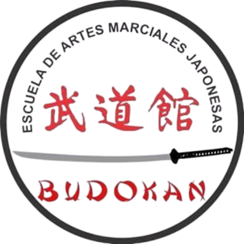 Dojo Budokan Veracruz