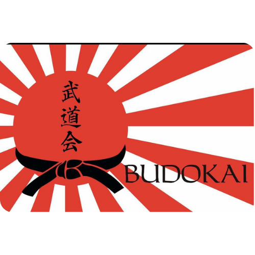 Dojo Budokai Xalapa